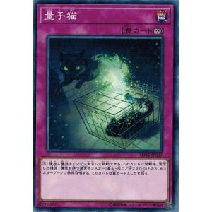 遊戯王 SD32-JP037 量子猫 サイバース・リンク SD32
