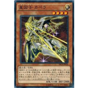 コナミデジタルエンタテインメント 遊戯王 SECE-JP055 ティンクル