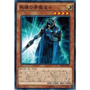 コナミデジタルエンタテインメント 遊戯王 307-040 光と闇の洗礼