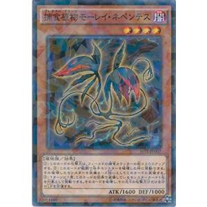 ウルトラマン フュージョンファイト！ フュージョンファイト2弾 UR