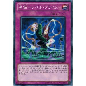 コナミデジタルエンタテインメント 遊戯王 307-010 混沌の黒魔術