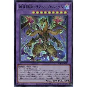 コナミデジタルエンタテインメント 遊戯王 中古ランクB(良い