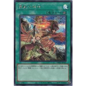 白き森の聖徒リゼット(スーパー) 遊戯王 : トレカショップ竜のしっぽ