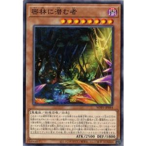 カードファイト!! ヴァンガード ヴァンガード 伝説の先導者達 クロノ