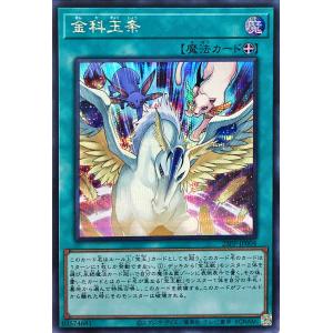 遊戯王オフィシャルカードゲーム デュエルモンスターズ 遊戯王カード