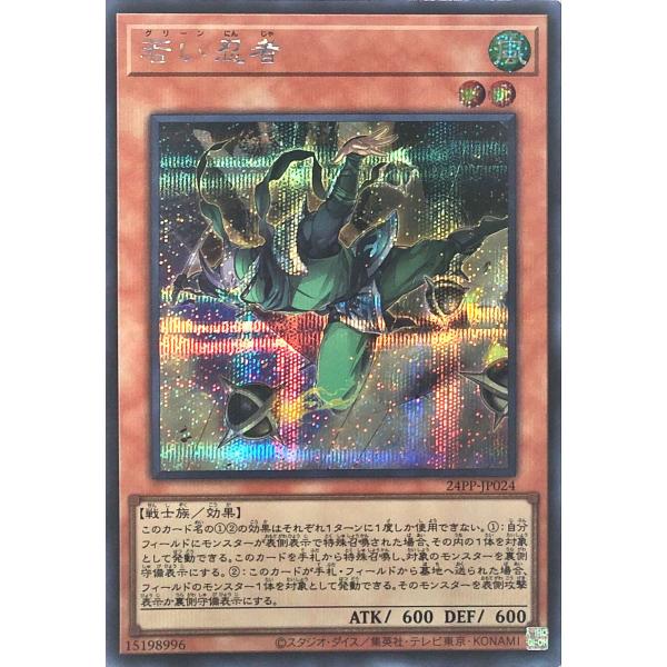 遊戯王 24PP-JP024 若い忍者 シークレットレア シク プレミアムパック2024 PREMI...