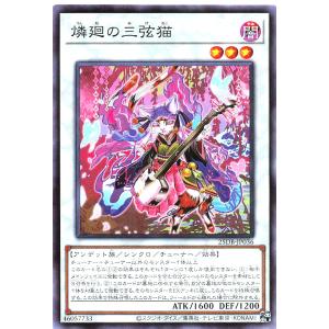 遊戯王 25DB-JP036 燐廻の三弦猫 ノーマルパラレル デュエリストボックス プリズマティックサモン