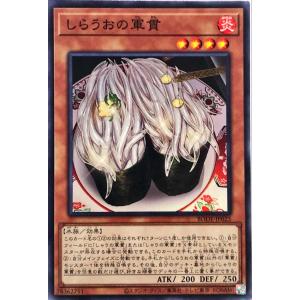 遊戯王オフィシャルカードゲーム デュエルモンスターズ 遊戯王カード