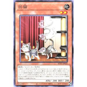 遊戯王 ROTA-JP026 回猫 ノーマル N レイジ・オブ・ジ・アビス RAGE OF THE ABYSS