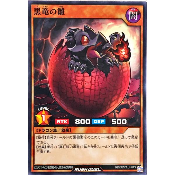 遊戯王 ラッシュデュエル RD/GRP1-JP043 黒竜の雛 ノーマル ゴールドラッシュパック