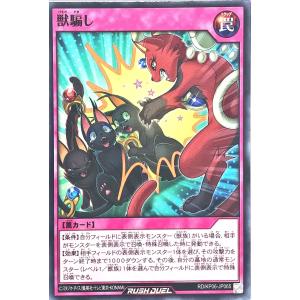 コナミデジタルエンタテインメント 遊戯王 ラッシュデュエル RD/5TH1
