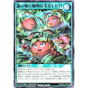 遊戯王 ラッシュデュエル RD/KP26-JP048 謎の飛行植物は実在した！！ レア R 君臨のヘッドライナー