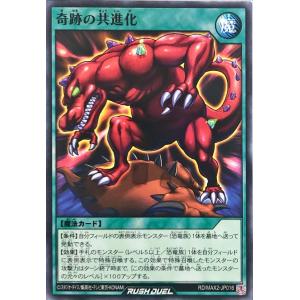コナミデジタルエンタテインメント 【イラスト違い】 遊戯王 ラッシュ