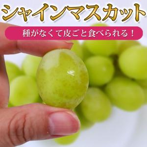 シャインマスカット 種なし 皮ごと食べられる!の詳細画像2