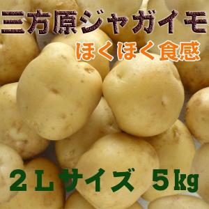 三方原馬鈴薯・男爵じゃがいも・きめ細かで肌がキレイ・ホクホク...