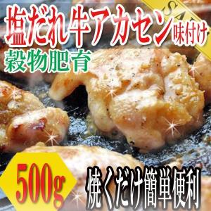 塩だれ牛ホルモン 500ｇ アカセン 味付け ホルモン ほるもん 焼き肉 バーベキュー 牛肉 お肉 プレミアム