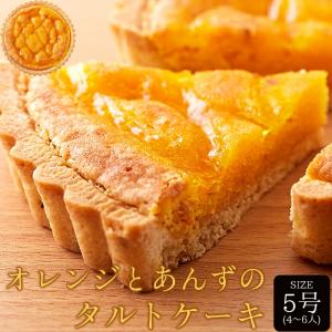 オレンジ と あんず の タルト ケーキ5号 タルトケーキ  タイムセール
