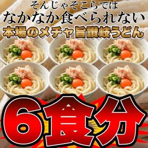 タイムセール!! 鎌田醤油特製 ダシ醤油 6袋...の詳細画像5