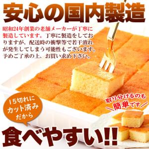ひとくち チーズケーキ 15切れ 北海道十勝産...の詳細画像5