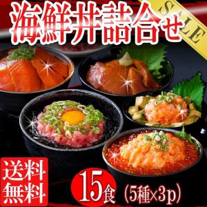 海鮮丼 マグロ漬け+サーモン+ネギトロ+トロサーモン+イカサーモン各3P