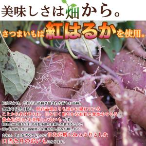 訳ありスイーツ 国産 干し芋 200g×2袋 ...の詳細画像2