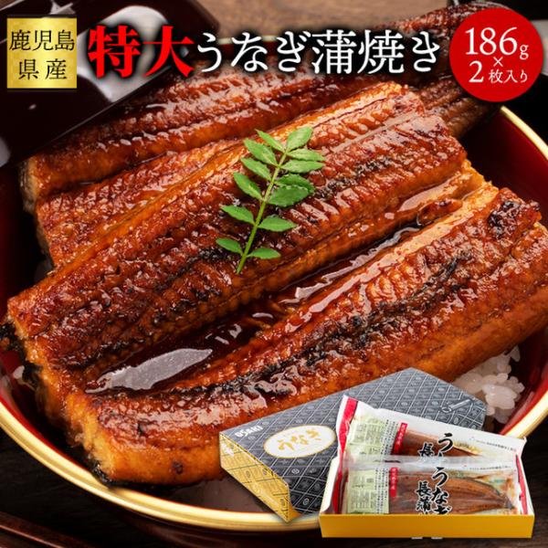 国産特大 うなぎ 蒲焼き 186g×2袋 日本ギフト大賞鹿児島県賞受賞!!産直冷凍 送料無料 プレミ...