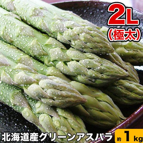 2026年収穫予約 アスパラ 極太2L 約1kg 北海道産 グリーン あすぱら お届け日指定不可無効...