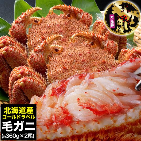 カニ激売祭り 毛ガニ 360g前後×2尾 姿 味噌 けがに 毛がに カニ 蟹 かに 脚 折脚たし脚入...