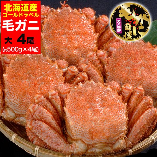 大 毛ガニ 500g 前後×4尾セット 北海道産 姿 味噌 けがに 毛がに カニ 蟹 かに 脚 折脚...