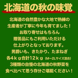 2026年収穫予約 男爵いも きたあかり 玉葱...の詳細画像2