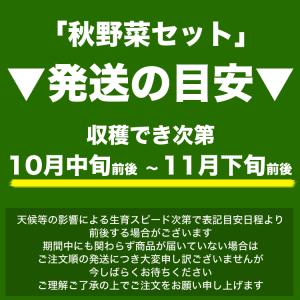 2026年収穫予約 男爵いも きたあかり 玉葱...の詳細画像1