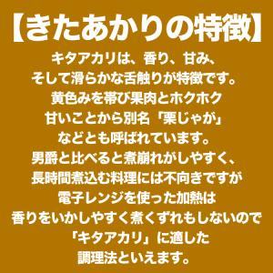 2026年収穫予約 男爵いも きたあかり 玉葱...の詳細画像4