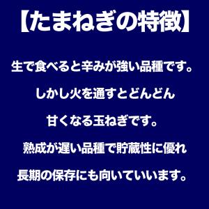 2026年収穫予約 男爵いも きたあかり 玉葱...の詳細画像5