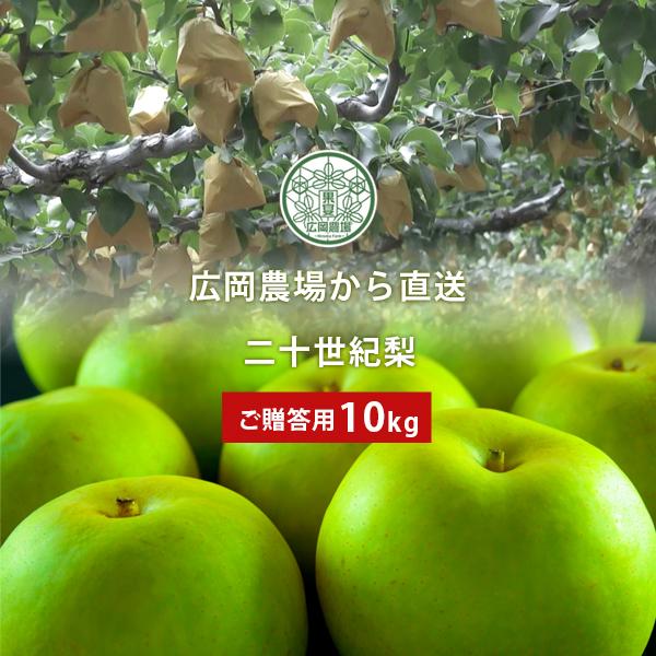 梨 広岡農場の二十世紀梨（20世紀梨）10kg詰（18〜30玉入） 鳥取県産 なし ご贈答用 赤秀 ...