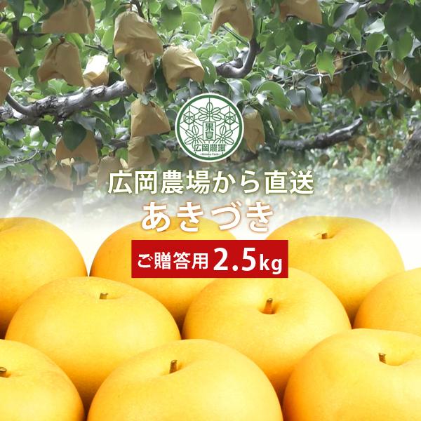 梨 広岡農場のあきづき2.5kg詰（4〜6玉入） 鳥取県産 なし ご贈答用 赤秀 送料無料