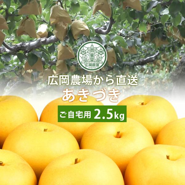 梨 訳あり 広岡農場のあきづき2.5kg詰（4〜6玉入） 鳥取県産 梨 なし ご自宅用 送料無料