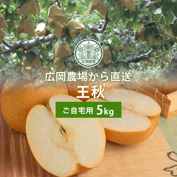 梨 訳あり 広岡農場の王秋梨（おうしゅうなし）5kg詰（6〜10玉入） 鳥取県産 なし ご自宅用 送...