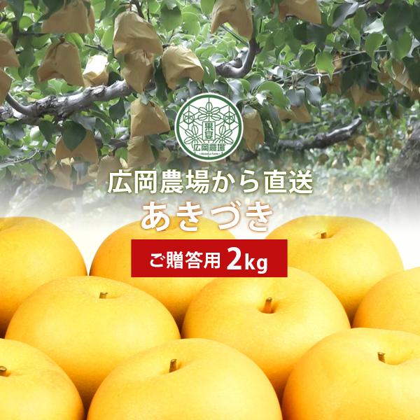 梨 広岡農場の新甘泉（しんかんせん） 2.2kg詰（3〜6玉入） 鳥取県産 なし ご贈答用 新甘泉梨...