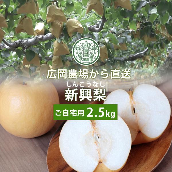 梨 訳あり 広岡農場の新興（しんこう）梨 2.5kg詰（4〜6玉入） 鳥取県産 なし ご自宅用 送料...