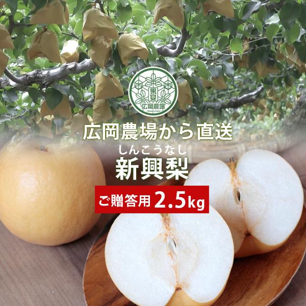 梨 広岡農場の新興（しんこう）梨 2.5kg詰（4〜6玉入） 鳥取県産 なし ご贈答用 赤秀 送料無...