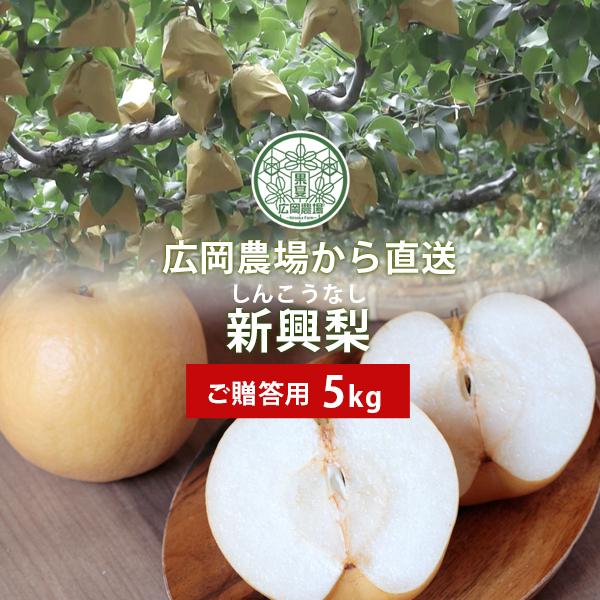 梨 広岡農場の新興（しんこう）梨 5kg詰（8〜12玉入） 鳥取県産 なし ご贈答用 赤秀 送料無料
