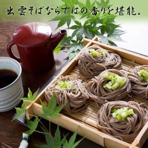 お中元ギフト 2026 無添加 出雲そば 5人...の詳細画像5