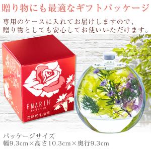 ハーバリウム EMARIH(えまり) ギフト ...の詳細画像2