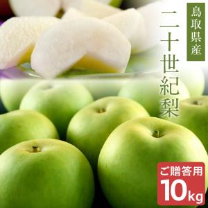 二十世紀梨 20世紀梨 10kg詰 28玉前後入 鳥取県産 赤秀 ご贈答用 送料無料 北海道 沖縄を除く Id 20c Red 10k パーソナルギフト 風味絶佳 山陰 通販 Yahoo ショッピング