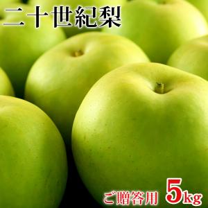 二十世紀梨（20世紀梨）5kg詰（14玉前後入） 鳥取県産 なし 赤秀（ご贈答用） 送料無料（北海道・沖縄を除く）