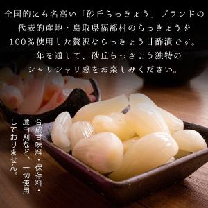 砂丘らっきょう漬け 鳥取県福部町産 ギフト向け...の詳細画像1