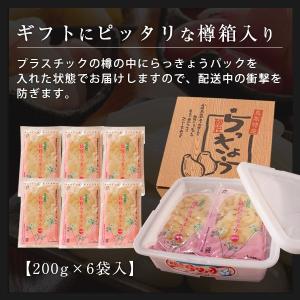砂丘らっきょう漬け 鳥取県福部町産 ギフト向け...の詳細画像2