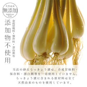 砂丘らっきょう漬け 鳥取県福部町産 ギフト向け...の詳細画像5