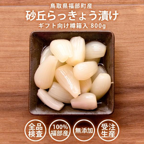 砂丘らっきょう漬け 鳥取県福部町産 ギフト向け樽箱入800g 無添加 国産 送料無料（北海道・沖縄を...