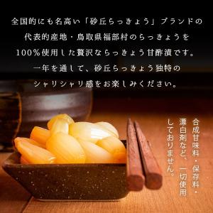 砂丘らっきょう漬け 鳥取県福部町産 選べる3パ...の詳細画像1